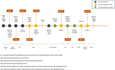 Long-term nutritional management of an obese German Spitz with paroxysmal dyskinesia, calcium oxalate urolithiasis, and suspected pancreatitis—A case report